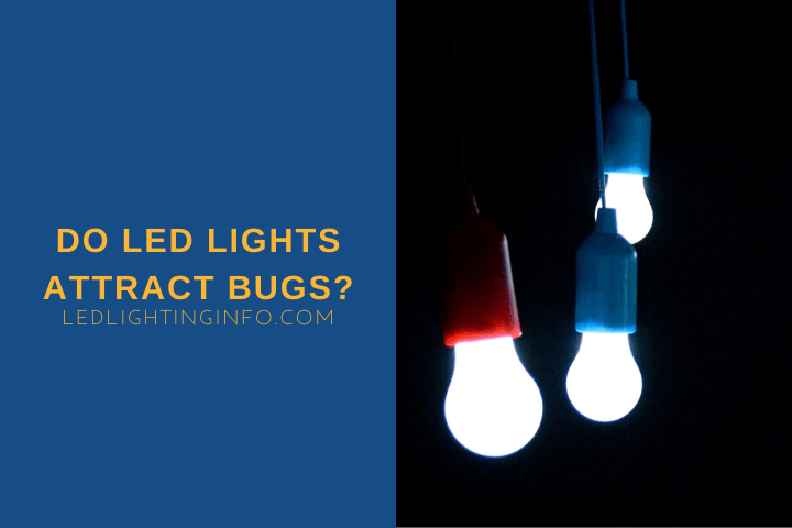 Do LED Lights Attract Bugs
