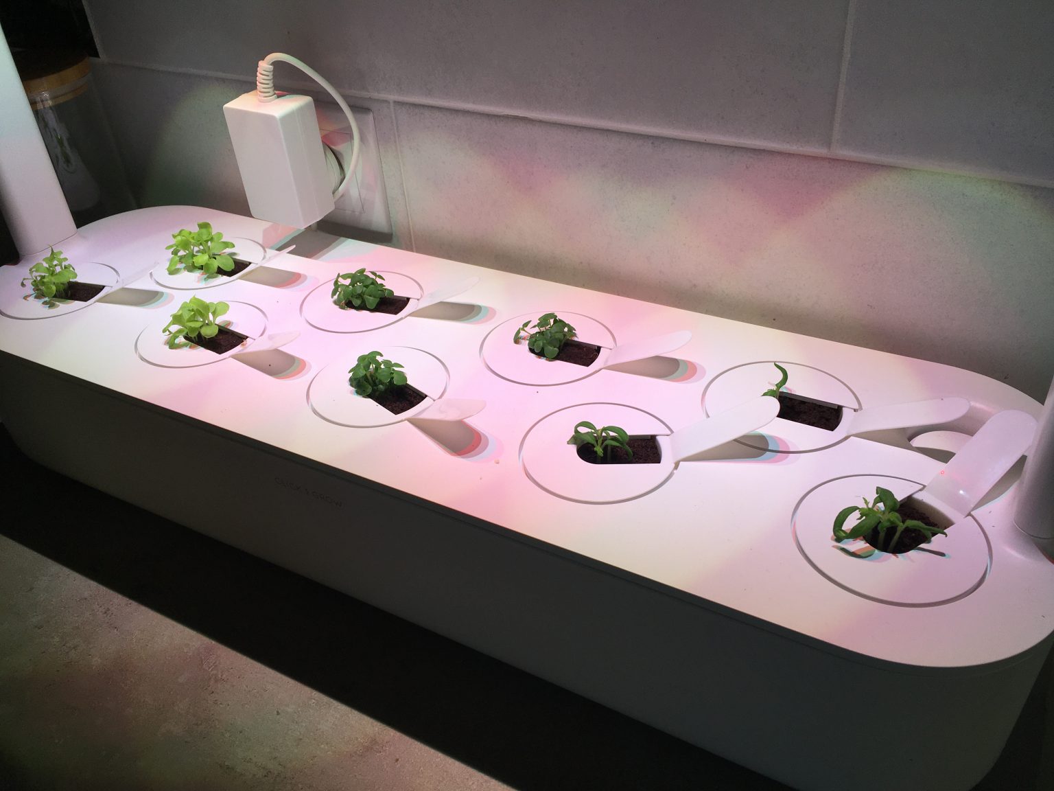 Can You Use LED Strips To Grow Plants? LED & Lighting Info