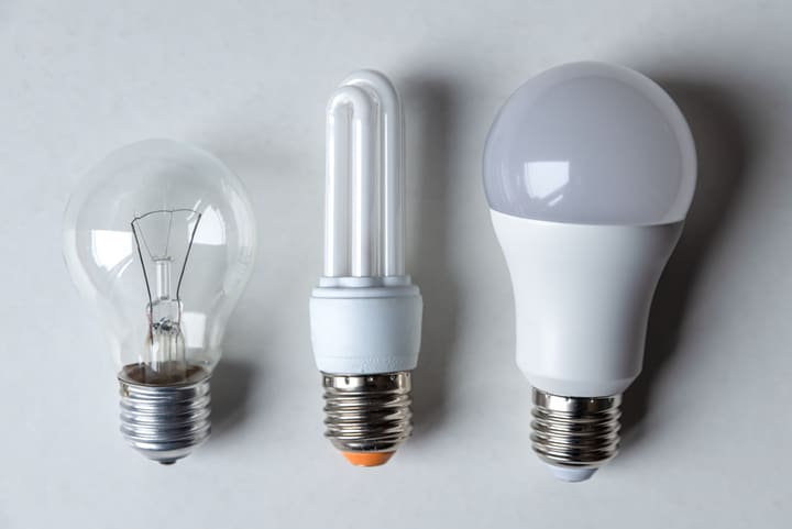 different types of bulbs