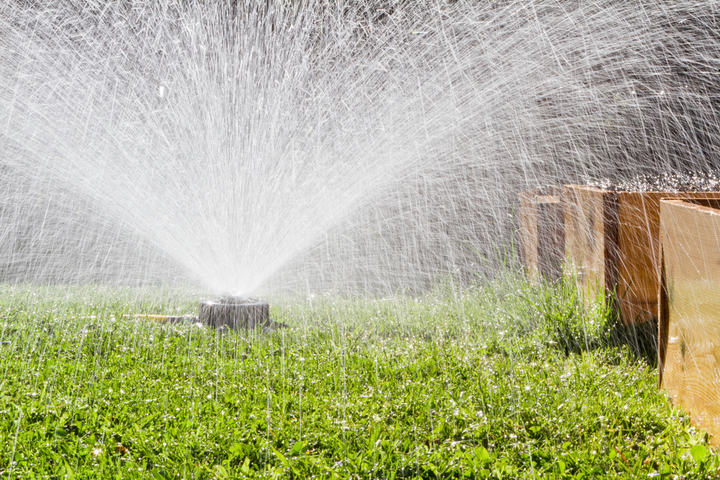 watering the grass in the backyard