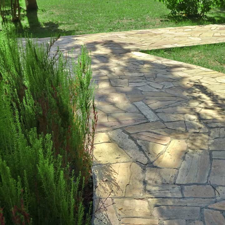 Garden landscaping and tree casting shadow