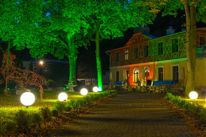 evening garden with light on the tree