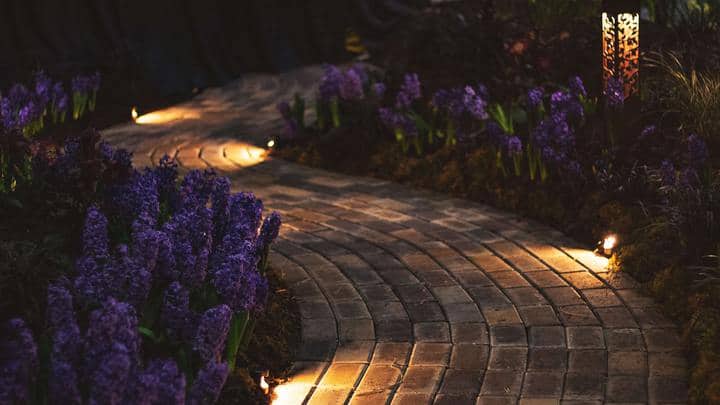 Pathway at dark surrounded by lavender and four landscape path lights.