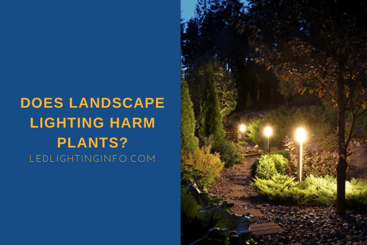 Does landscape lighting harm plants?