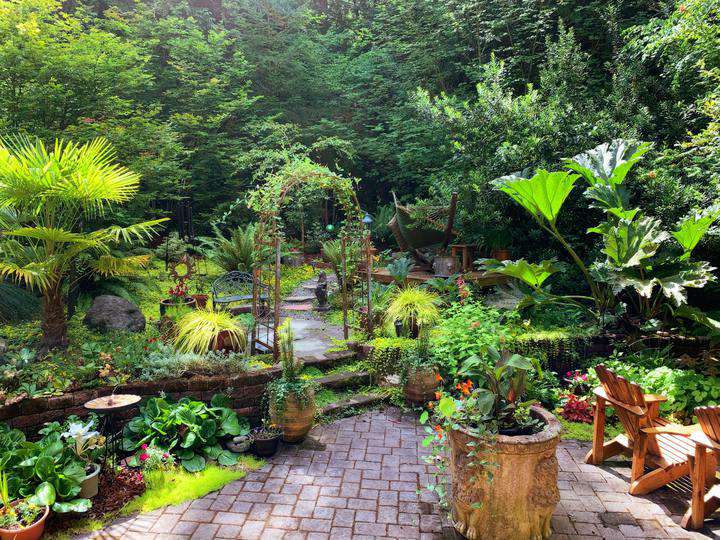 Lush green garden with a gate, three stairs and pots of flowers 