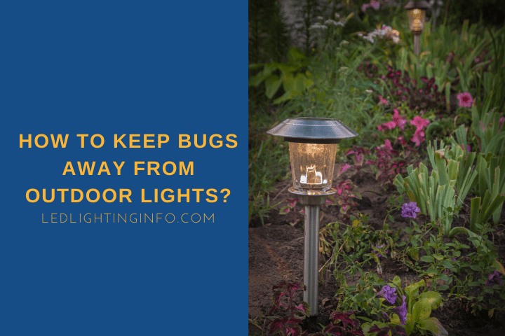 How To Keep Bugs Away From Outdoor Lights?; lighted landscape light in garden of flowers in the evening