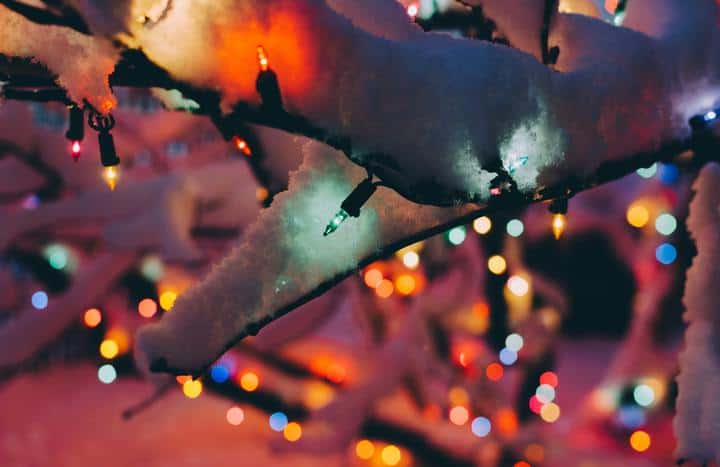 Christmas lights on tree branches covered by snow