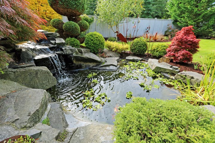 View of small pond, trimmed bushes and small waterfall