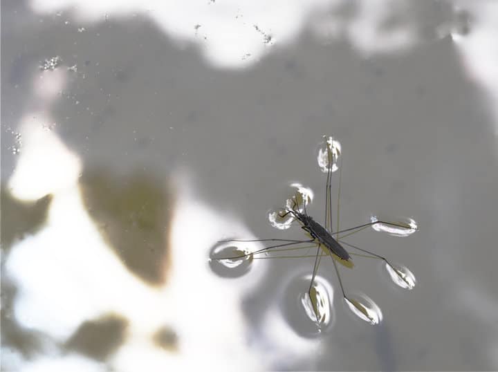 floating water measures above water