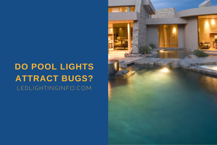 Do Pool Lights Attract Bugs?