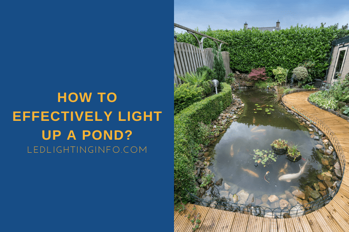 How To Effectively Light Up A Pond?